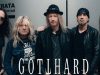 Próximo disco de GOTTHARD. Single de TRIBULATION. Firefest.