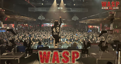 W.A.S.P. 