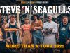 Recordamos los conciertos de STEVE ‘N’ SEAGULLS