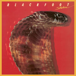 BLACKFOOT - 