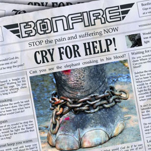 BONFIRE - Cry For Help