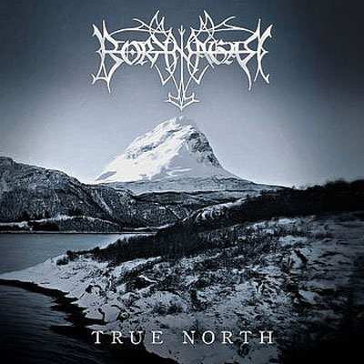 BORKNAGAR