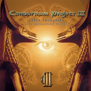 CONSORTIUM PROJECT - Consortium Project III