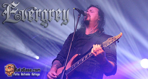 EVERGREY