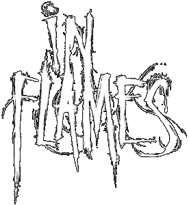 IN FLAMES