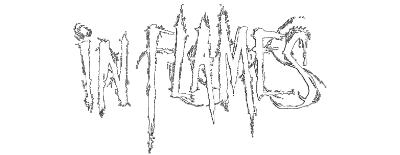 IN FLAMES 