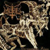 MORD - Necrosodomic Abuss