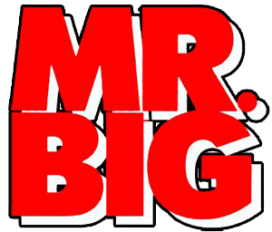 MR.BIG