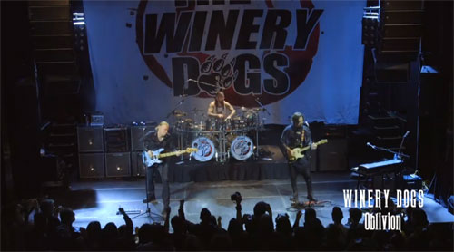 THE WINERY DOGS