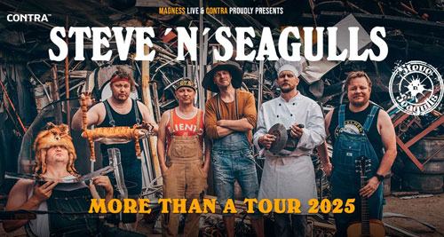 STEVE ‘N’ SEAGULLS