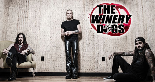 THE WINERY DOGS