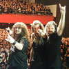 Warcry Colombia