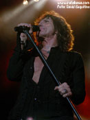 Whitesnake - David Esquitino