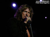 Whitesnake - David Esquitino