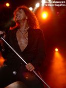 Whitesnake - David Esquitino