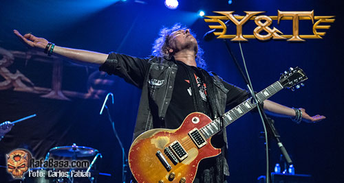 Y & T